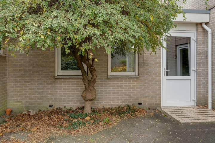 Foto 20 van Asserstraat 3