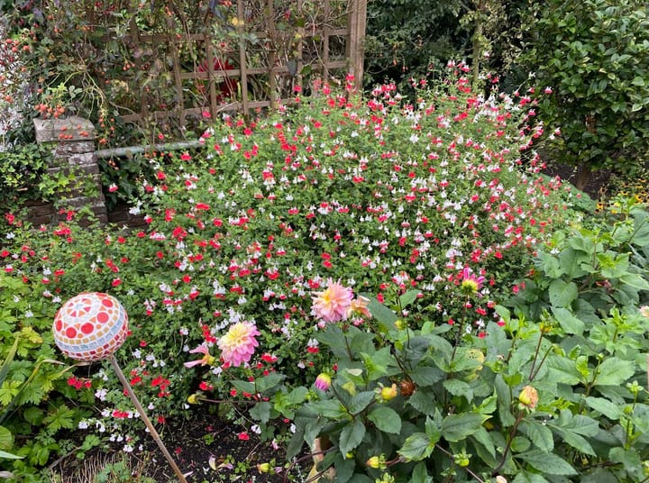 Foto 28 van Noordeinde 96