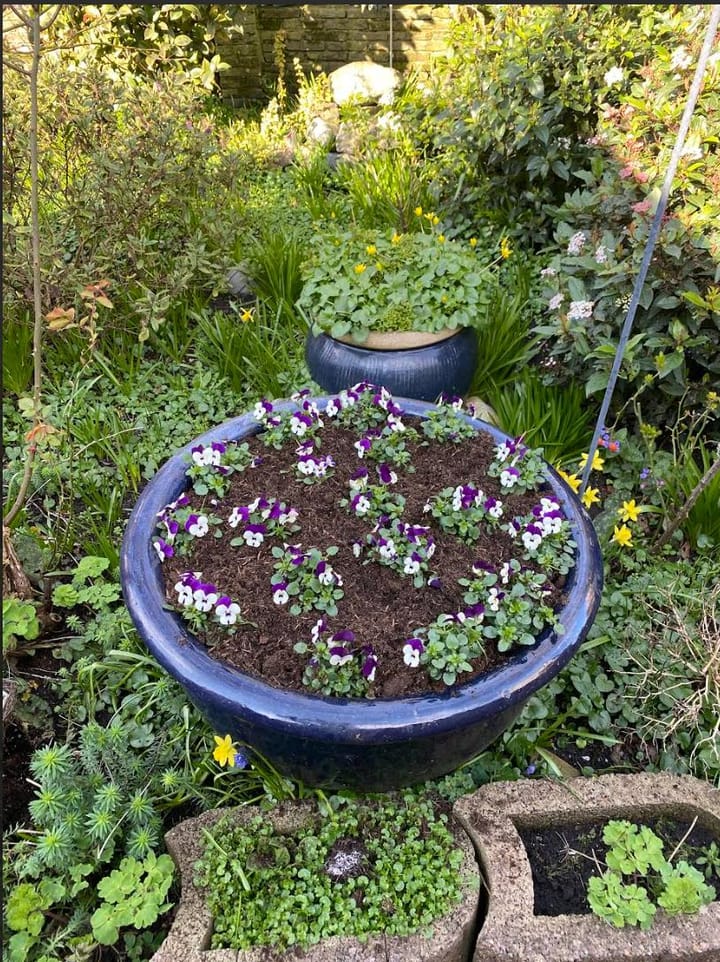 Foto 26 van Noordeinde 96