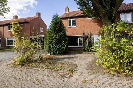 undefined main image