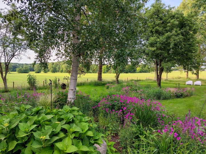 Foto 3 van Puntersweg 3