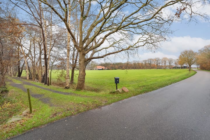 Foto 7 van Puntersweg 3