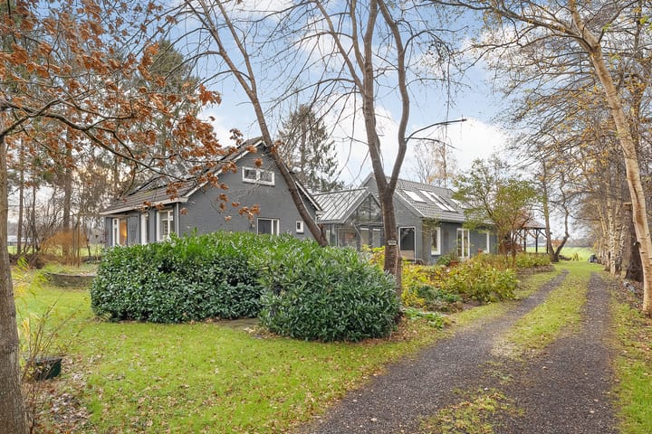 Foto 8 van Puntersweg 3