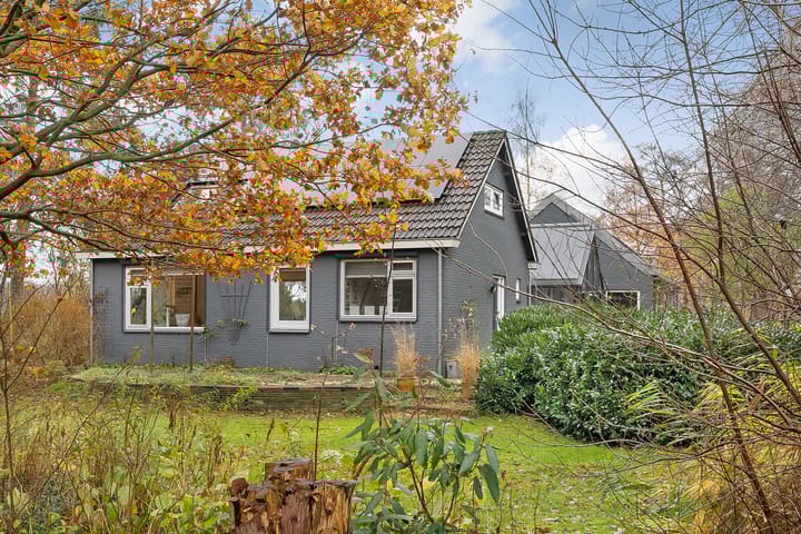 Foto 9 van Puntersweg 3