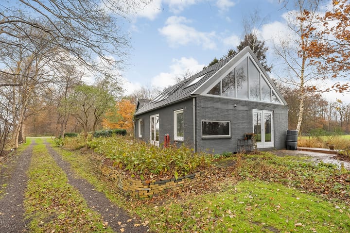 Foto 14 van Puntersweg 3