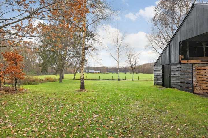 Foto 15 van Puntersweg 3