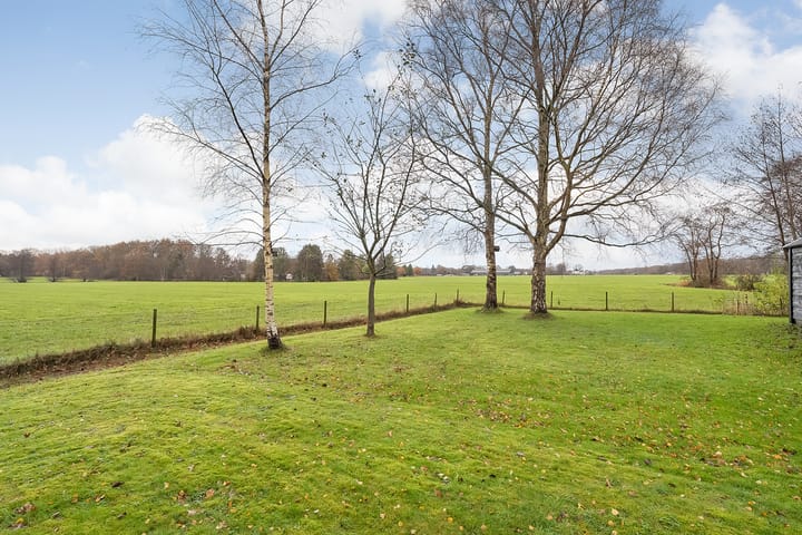 Foto 17 van Puntersweg 3