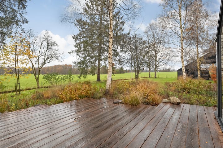 Foto 50 van Puntersweg 3