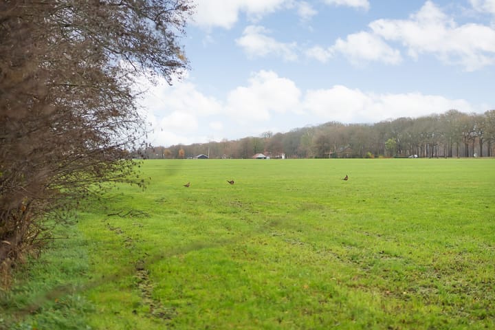 Foto 53 van Puntersweg 3