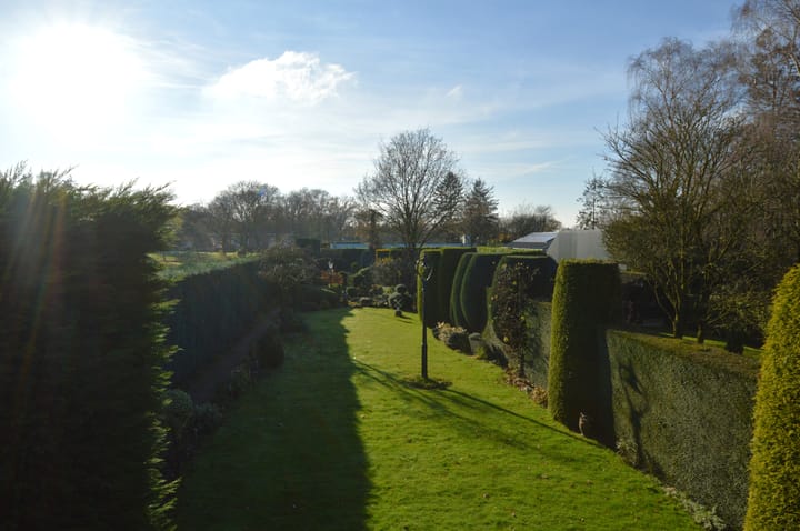 Foto 24 van Berkenstraat 12-A