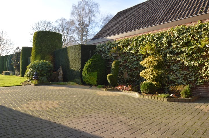 Foto 32 van Berkenstraat 12-A