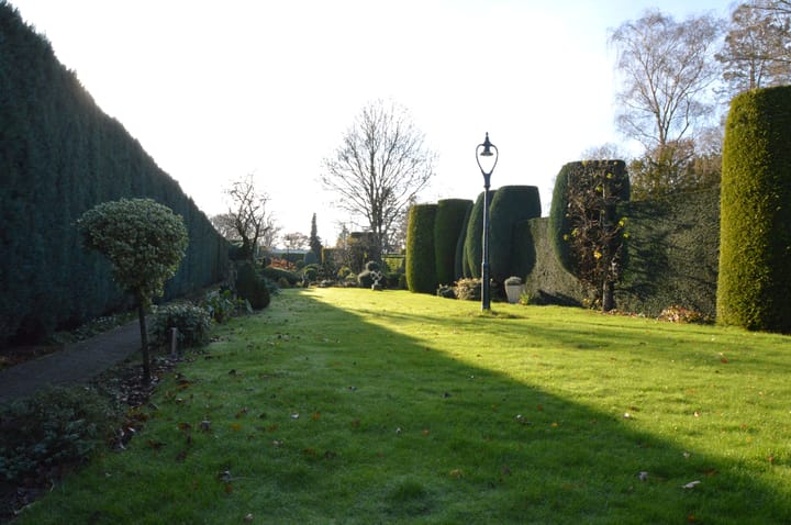 Foto 33 van Berkenstraat 12-A