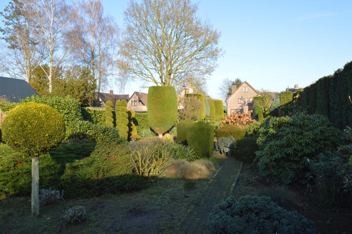 Foto 38 van Berkenstraat 12-A