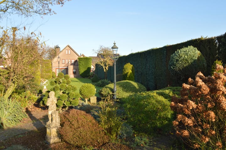 Foto 37 van Berkenstraat 12-A