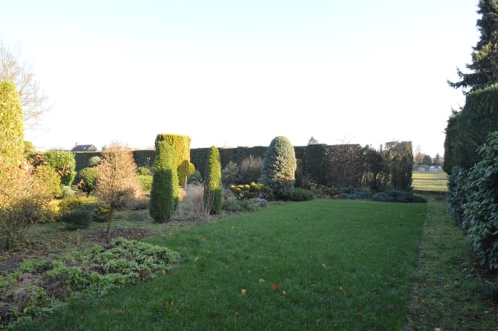 Foto 39 van Berkenstraat 12-A