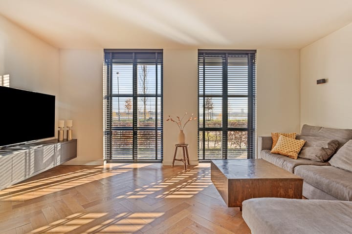 Foto 4 van Grote Boel 21