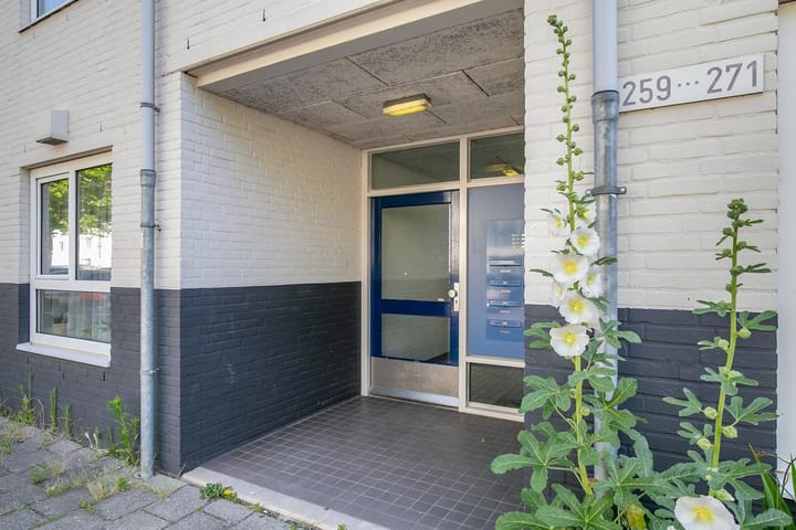 Foto 16 van Daniël Defoelaan 269