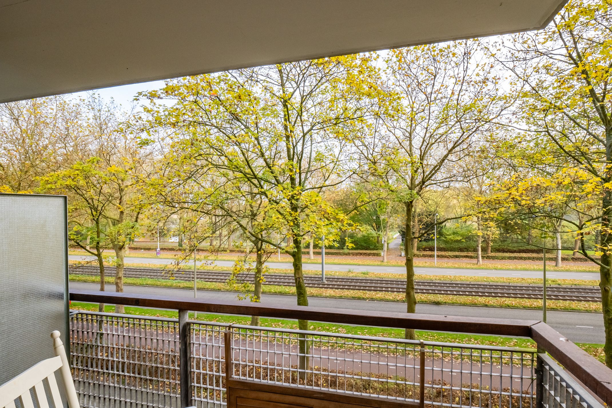 Foto 30 van Livingstonelaan 488