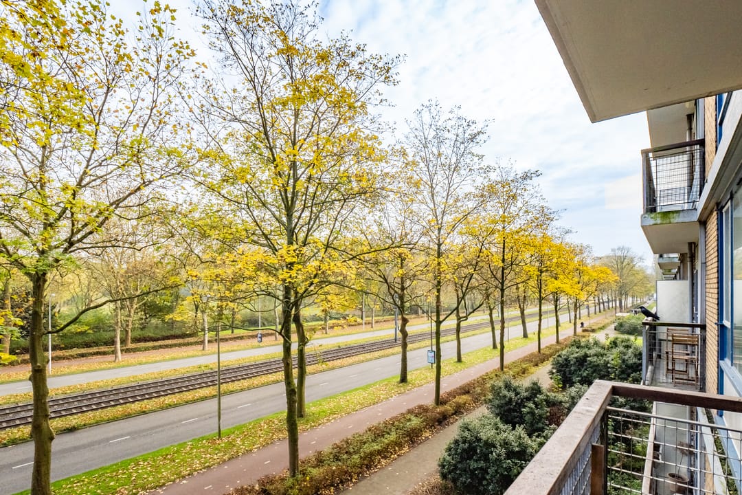 Foto 31 van Livingstonelaan 488