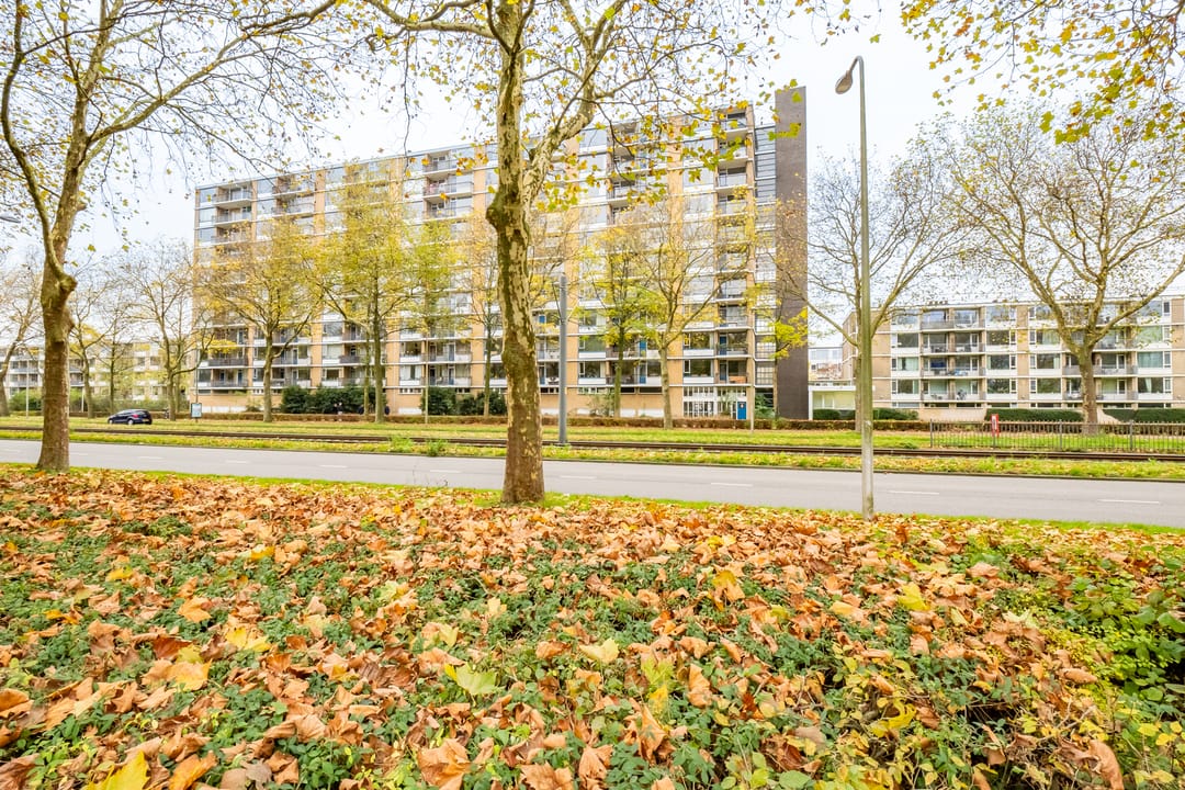 Foto 38 van Livingstonelaan 488