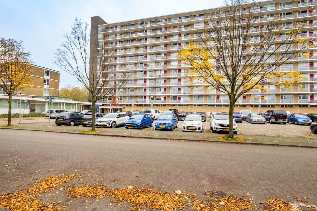 Foto 41 van Livingstonelaan 488