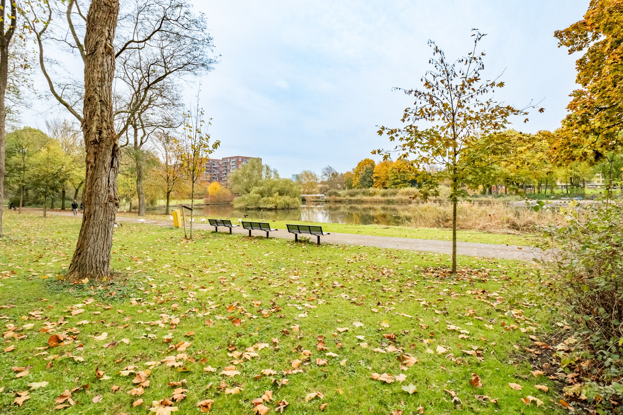 Foto 42 van Livingstonelaan 488