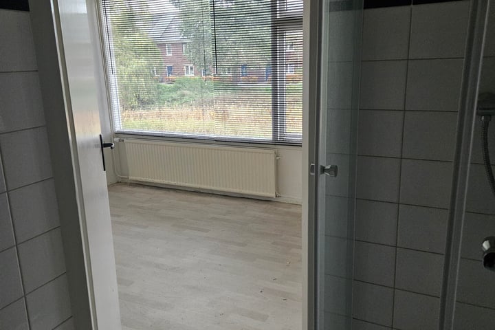 View photo 8 of Koelhorst 45