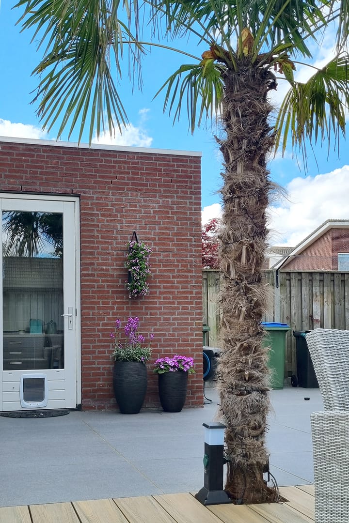 Foto 47 van Koningin Emmastraat 71