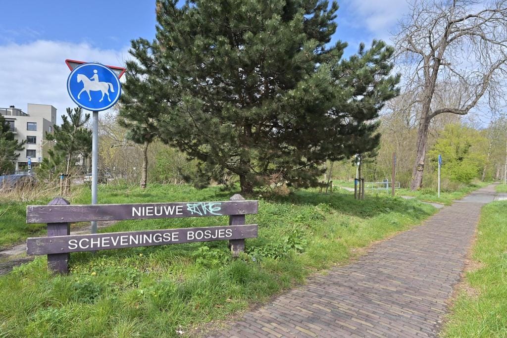 Foto 45 van Badhuisweg 203-F