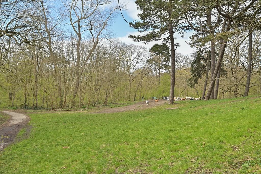 Foto 46 van Badhuisweg 203-F