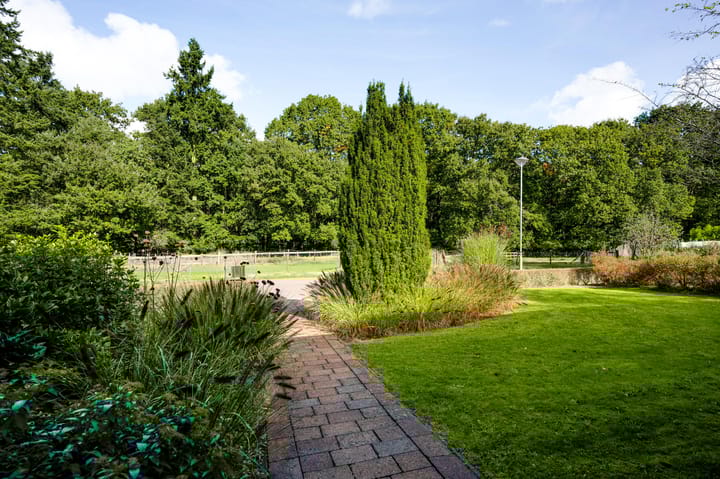 Foto 10 van Graaf Wolff Metternichlaan 12