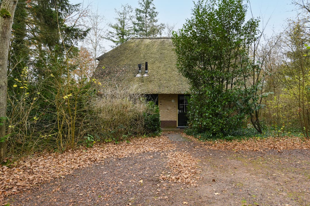 Foto 2 van Buinerweg 8-306