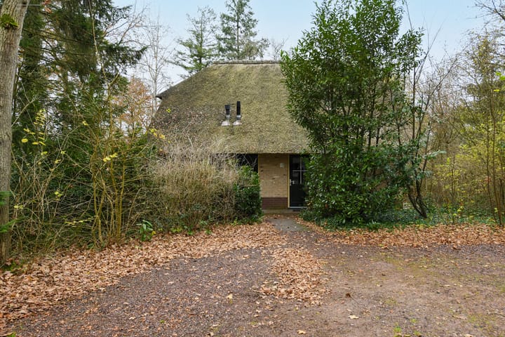 Foto 2 van Buinerweg 8-306