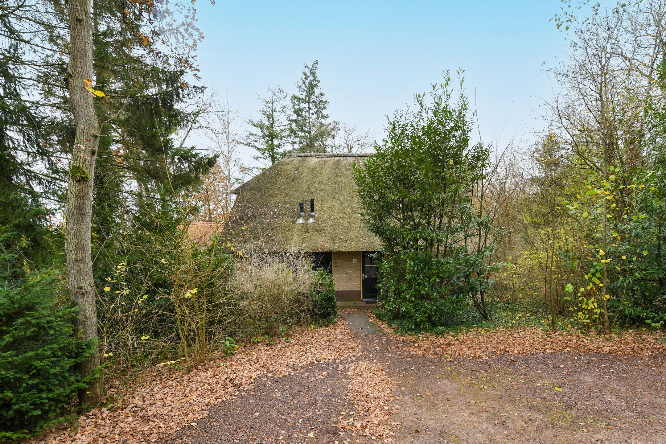 Foto 3 van Buinerweg 8-306