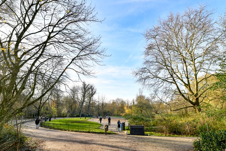 Bekijk foto 14 van Ceintuurbaan 364-2