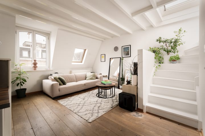 Foto 1 van Tweede Jan Steenstraat 111-E