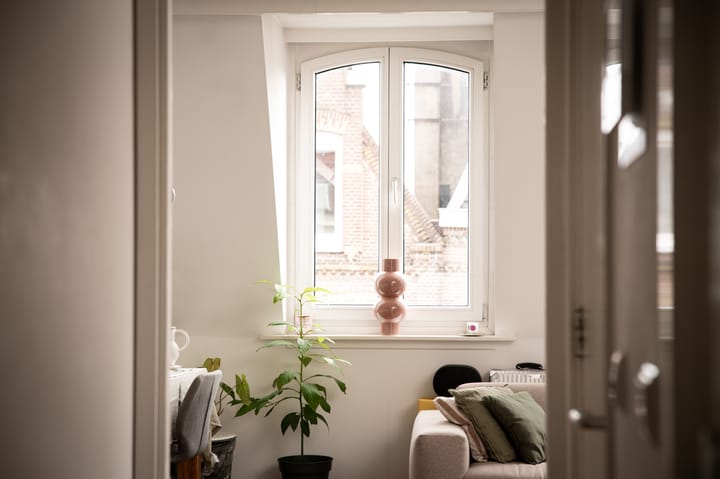 Foto 6 van Tweede Jan Steenstraat 111-E