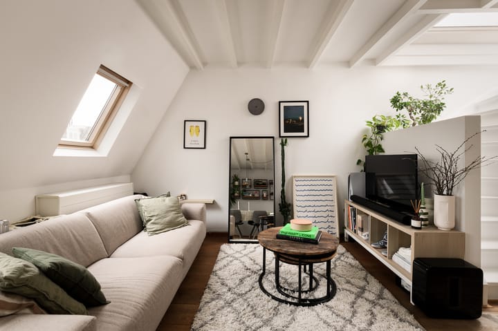 Foto 7 van Tweede Jan Steenstraat 111-E