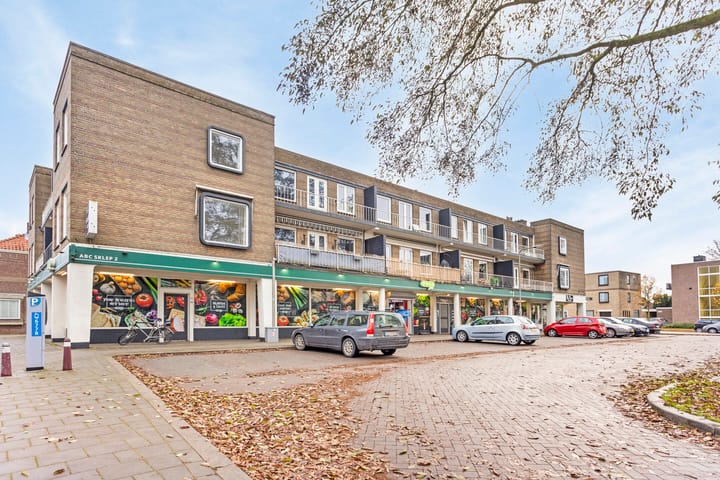 Foto 2 van Professor Regoutstraat 19