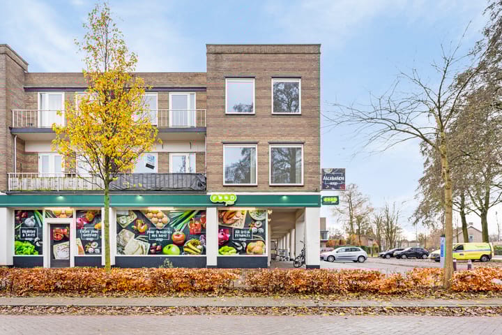 Foto 3 van Professor Regoutstraat 19