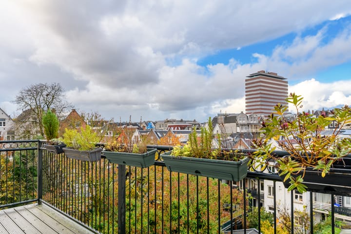 Foto 15 van Tweede Jan Steenstraat 111-E