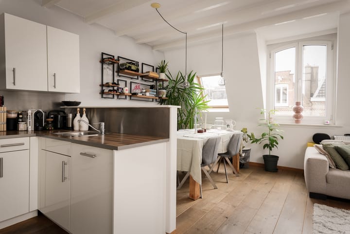 Foto 9 van Tweede Jan Steenstraat 111-E