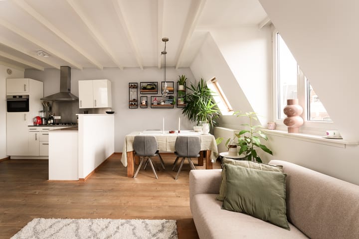 Foto 5 van Tweede Jan Steenstraat 111-E