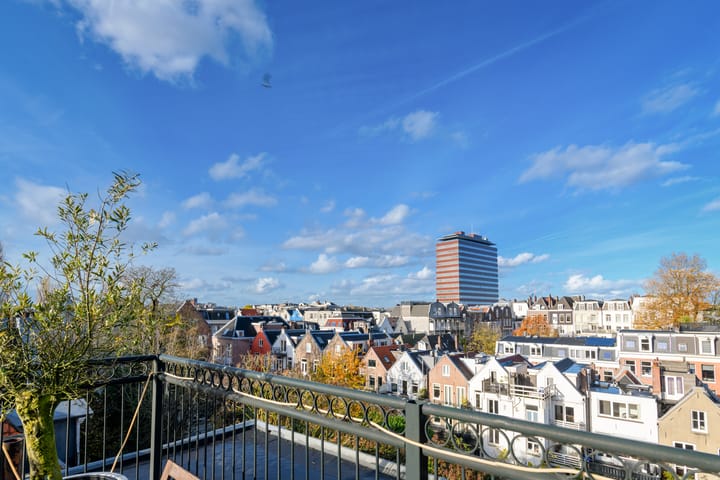 Foto 25 van Tweede Jan Steenstraat 111-E