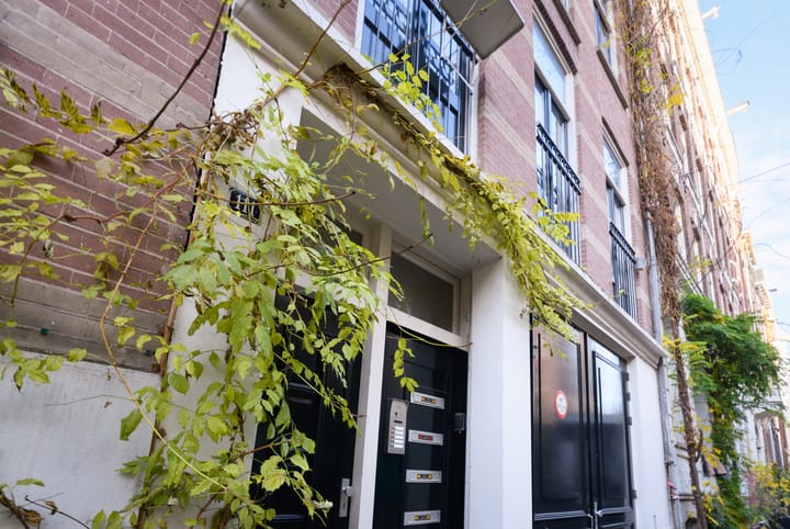 Foto 26 van Tweede Jan Steenstraat 111-E