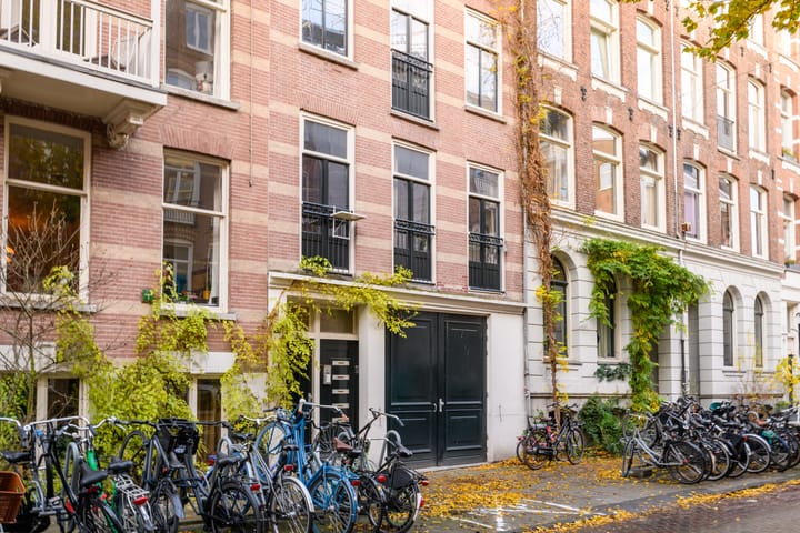 Foto 27 van Tweede Jan Steenstraat 111-E