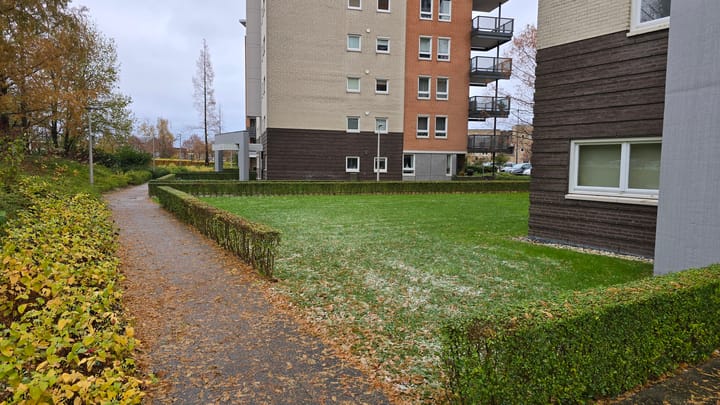 Foto 22 van Olympiade 3