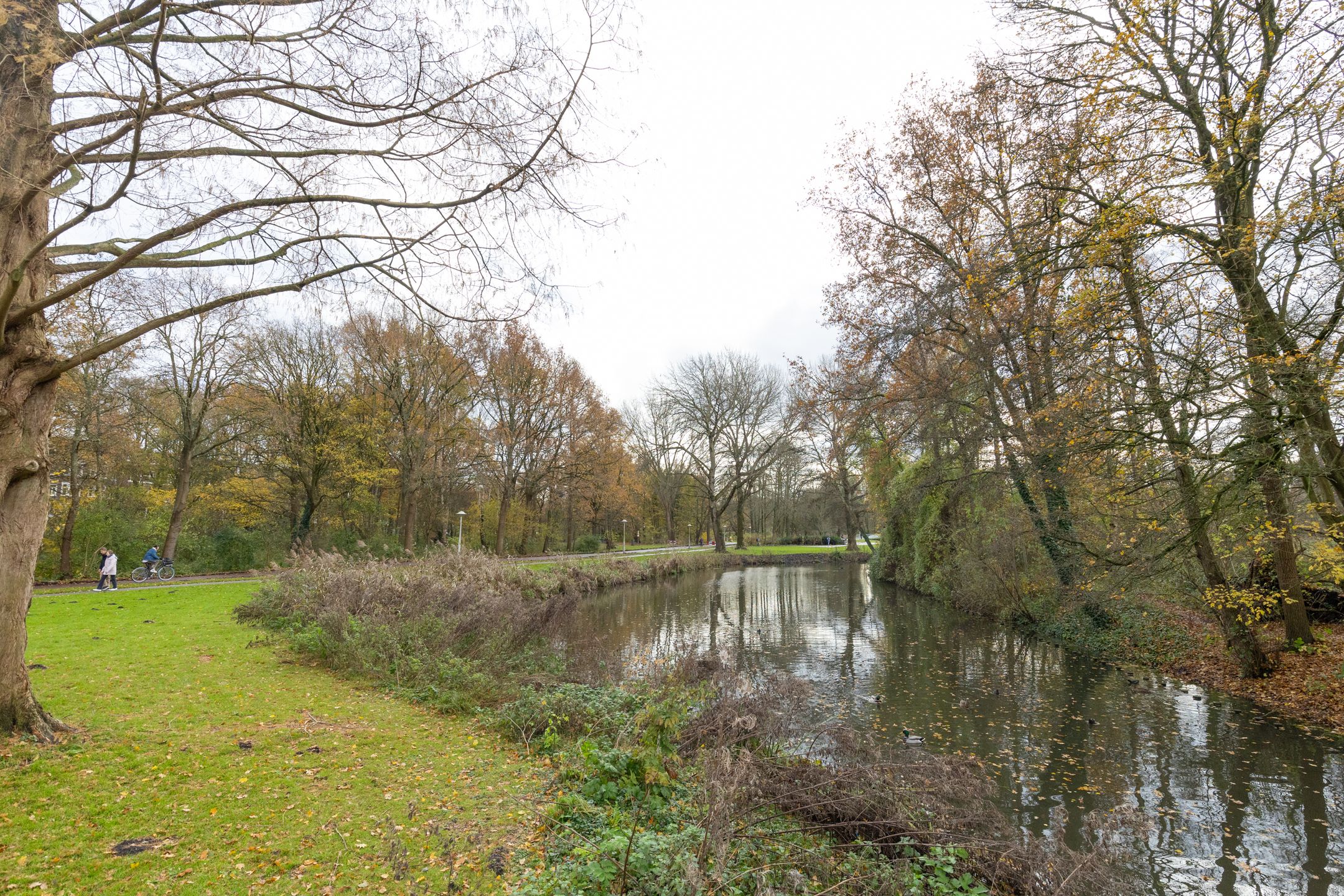 Foto 33 van Hoofdweg 369-3