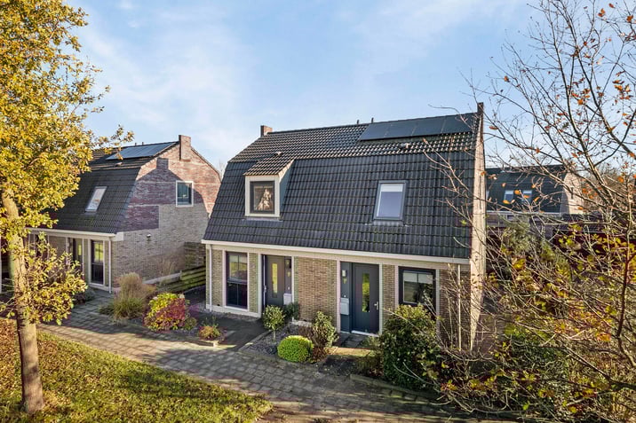 undefined main image