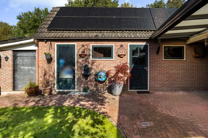 Foto 8 van Wollegras 7